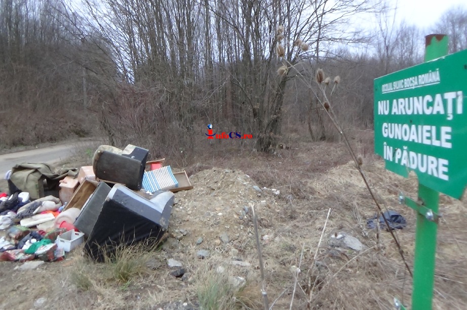 Rampă clandestină de gunoaie la marginea oraşului Bocşa VIDEO