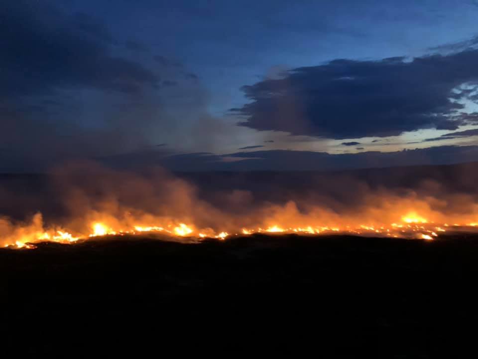 Asta ne mai lipsea – Au inceput incendiile de vegetatie provocate de sateni