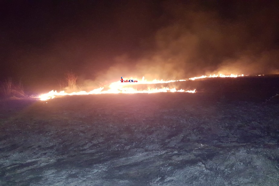 Incendiu de vegatatie la marginea drumului spre Oravita cu pericol de extindere VIDEO