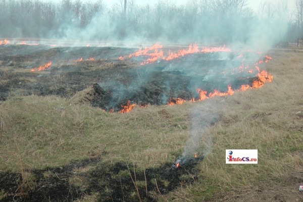 Lupta cu incendiile de vegetatie uscata –  Hectare intregi in flacari VIDEO