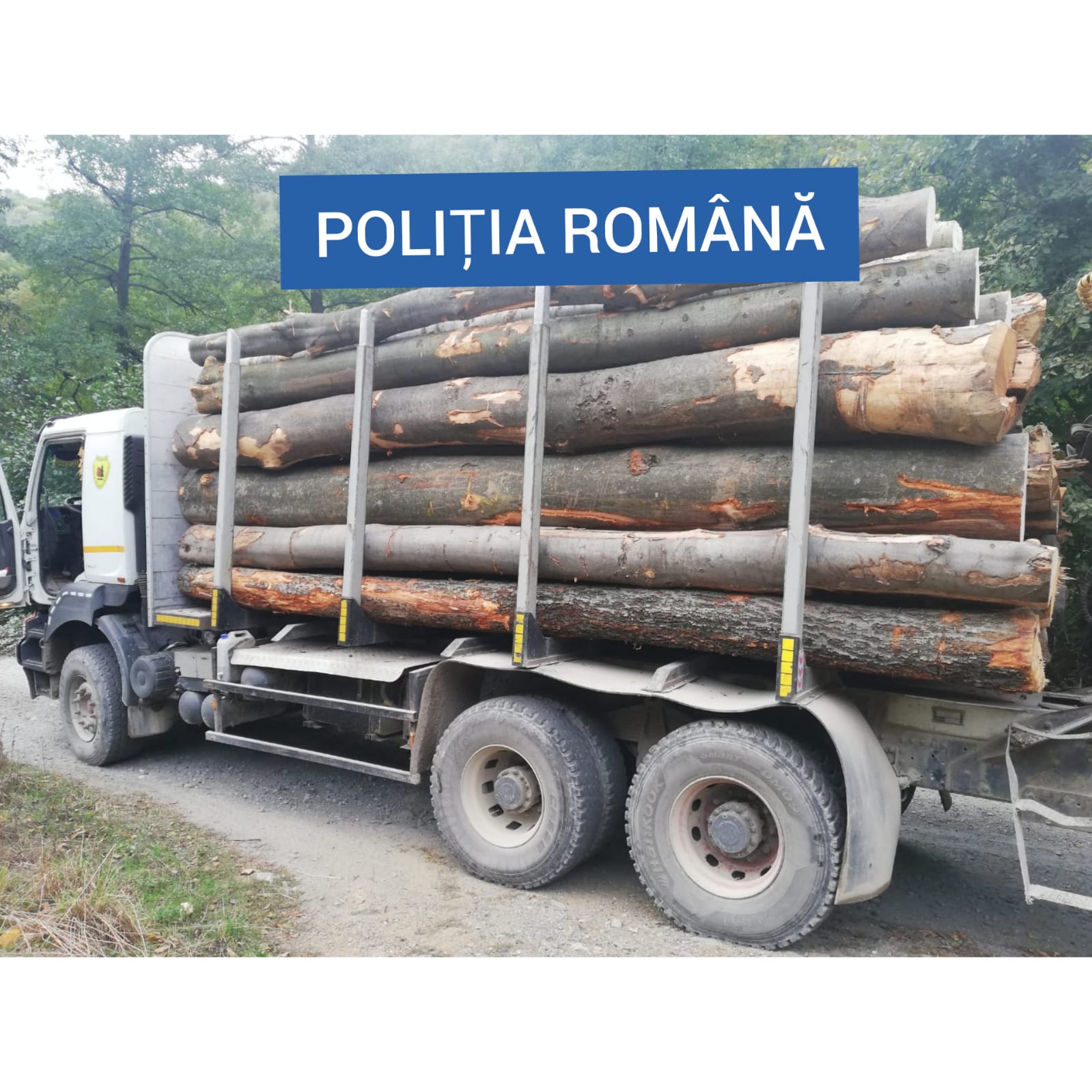 Peste 160 de sancțiuni contravenționale in afacerile cu lemn