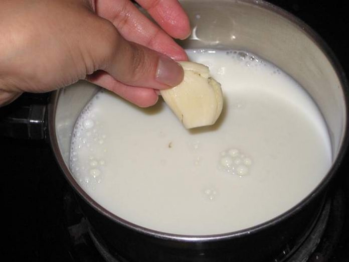 Usturoi în lapte – tratamentul uitat de pe vremea străbunilor VIDEO