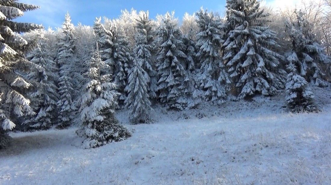 Distracție in zapada înainte de Crăciun, pe Semenic VIDEO