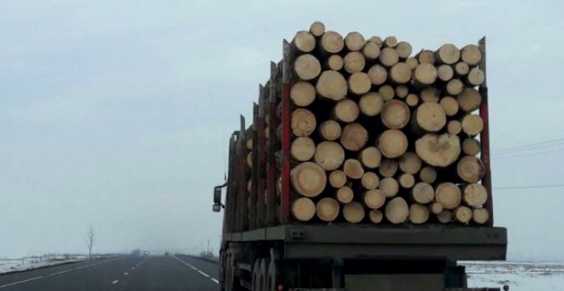 A ramas fara aproape 30 de metri cubi de lemn fiindca nu a respectat legea