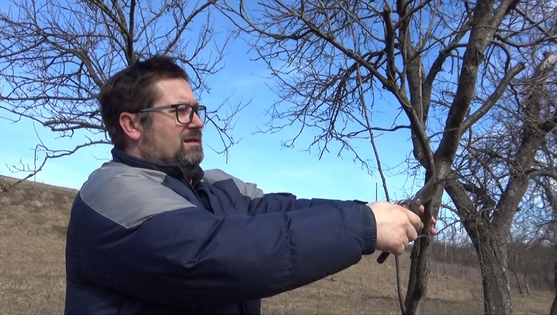 Iarna blanda a afectat livezile de pomi din judet VIDEO