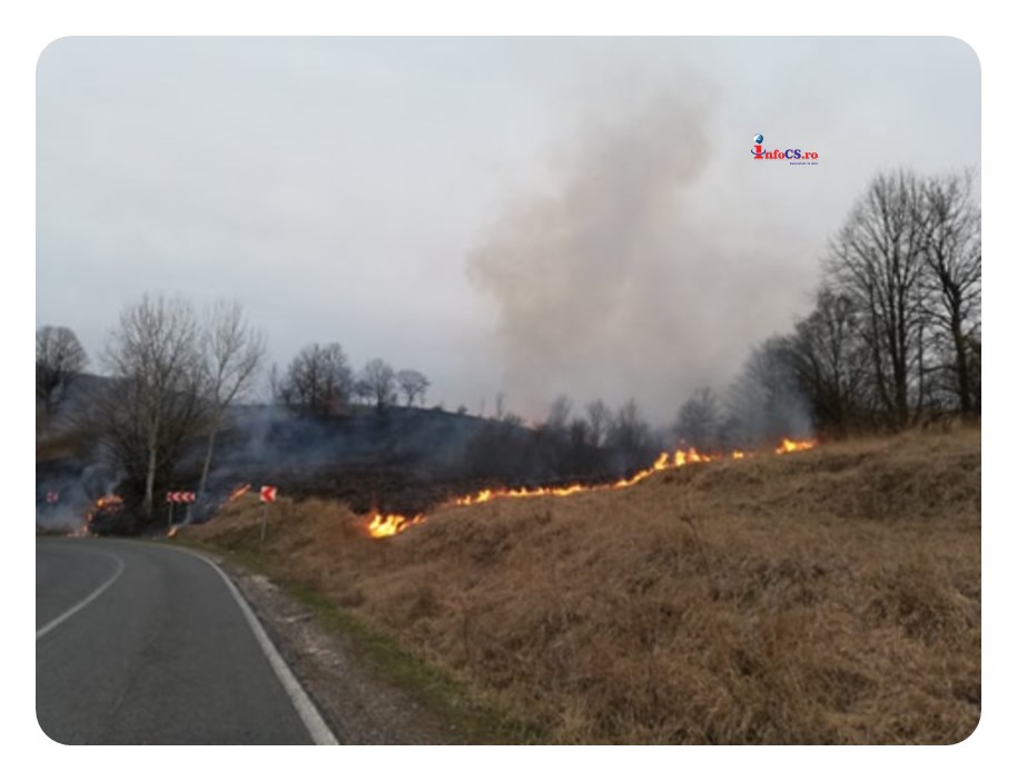 Incendiu puternic la Caraşova – Focul a intrat in livezi VIDEO