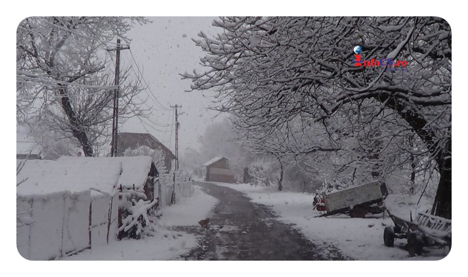 Iarna a revenit în forță cu zăpada mieilor peste Banatul Montan şi peste pomii înfloriți VIDEO