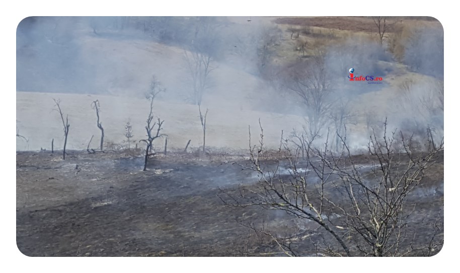 NEWS ALERT Judeţul năpădit de incendii de vegetaţie – Sute de hectare de păşuni şi livezi în flăcări – Gospodării salvate in ultima clipă la Brebu VIDEO EXCLUSIV