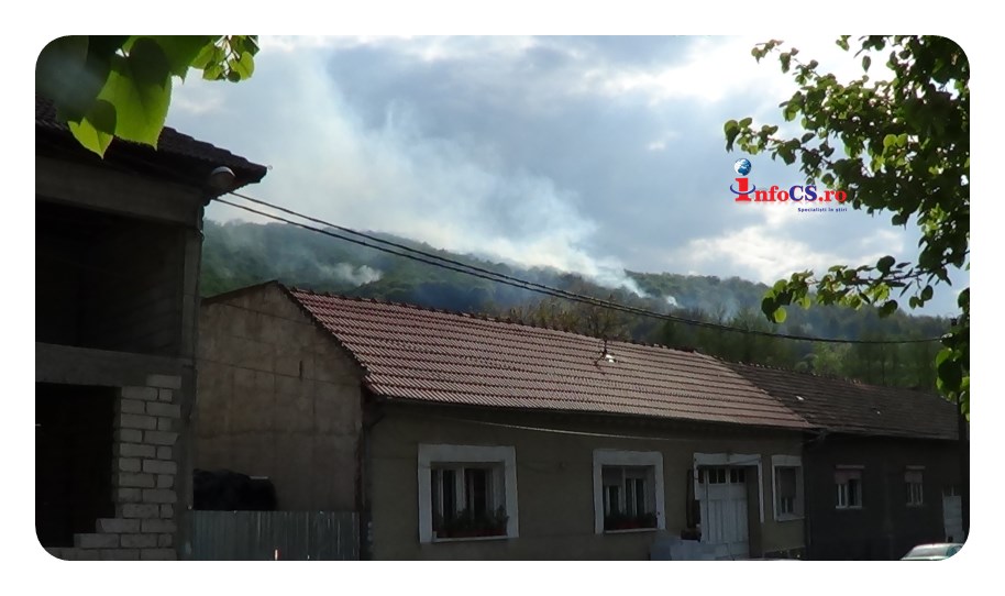 Zeci de hectare de pădure, cuprinse de flăcări la Sopotu Vechi VIDEO