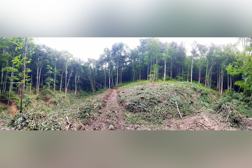 Mihai Gotiu: ANCHETĂ PENALĂ pentru distrugerea pădurilor și parcurilor naționale din județul Caraș Severin