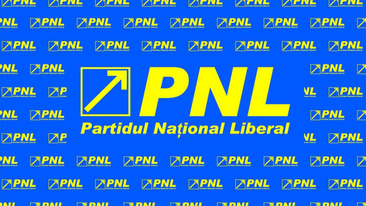 De ce e important să mergem la vot. PNL, singurul partid care şi-a asumat responsabilitatea guvernării în criză (PE)