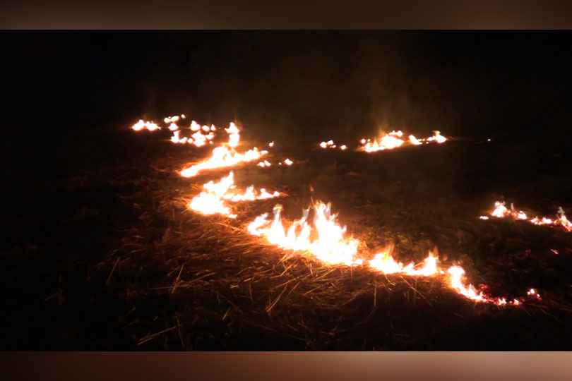 Arderile necontrolate de vegetație uscată – acțiuni voluntare care pot pune in pericol viețile și bunurile oamenilor VIDEO