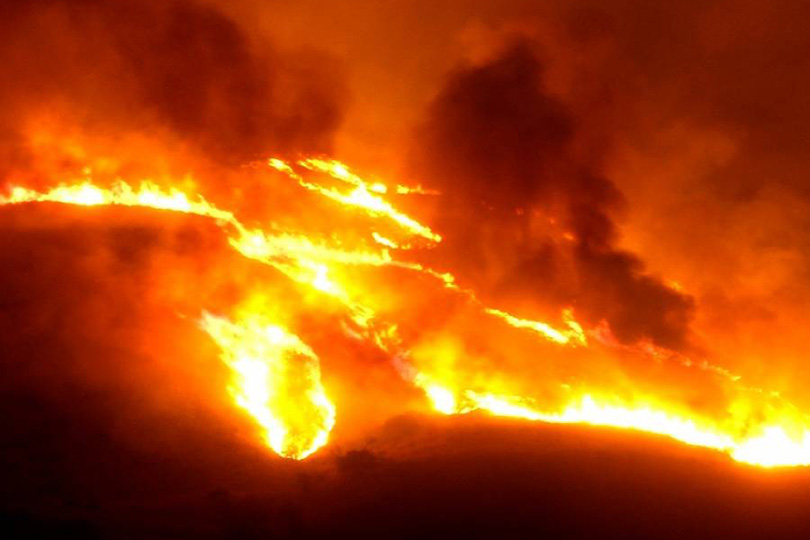 APIA nu mai dă subvenții pentru terenurile cu vegetația incendiată VIDEO