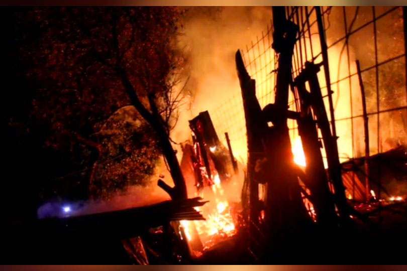 O altă fermă de animale a ars la Moldova Nouă VIDEO
