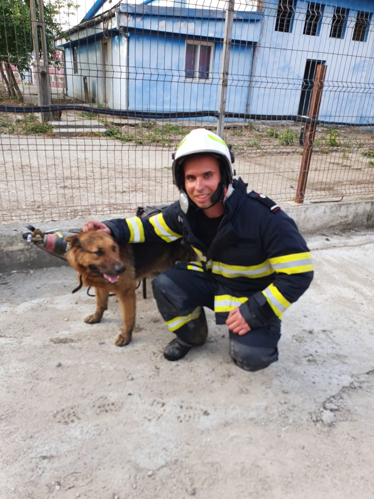 Pagube imense în urma incendiului de la depozitul din Resita – Pompierii au salvat un câine din flăcări  VIDEO