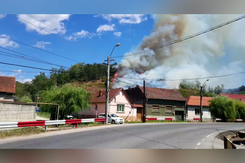 Incendiu de pădurea la Câlnic în marginea Reșiței cu pericol de extindere la casele din apropiere video