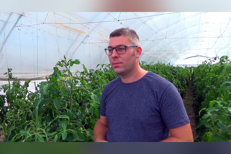 Raiko din Belobreșca produce legume pentru toată Clisura Dunării – O afacere de familie de succes VIDEO