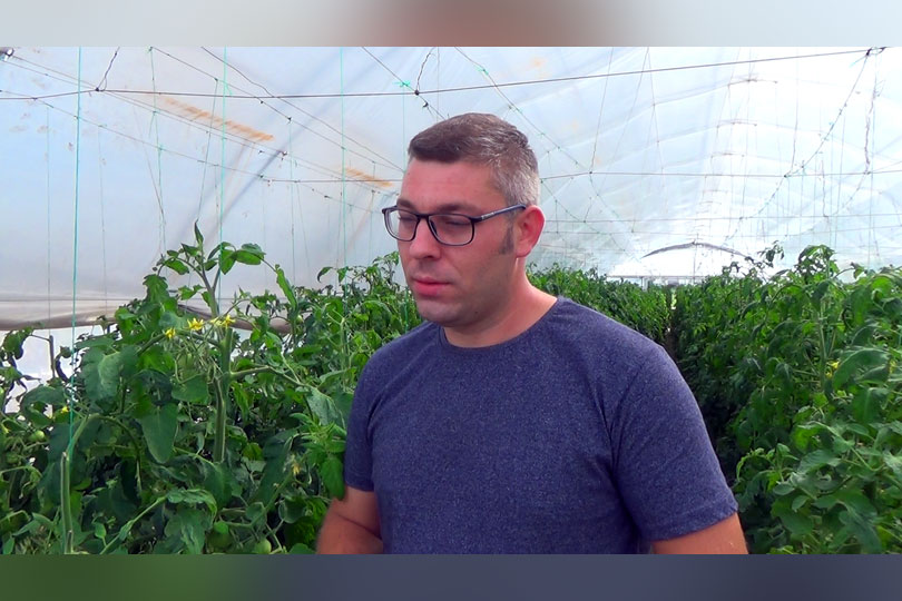 Producătorii de legume sunt nevoiți să crească prețurile la legumele timpurii VIDEO