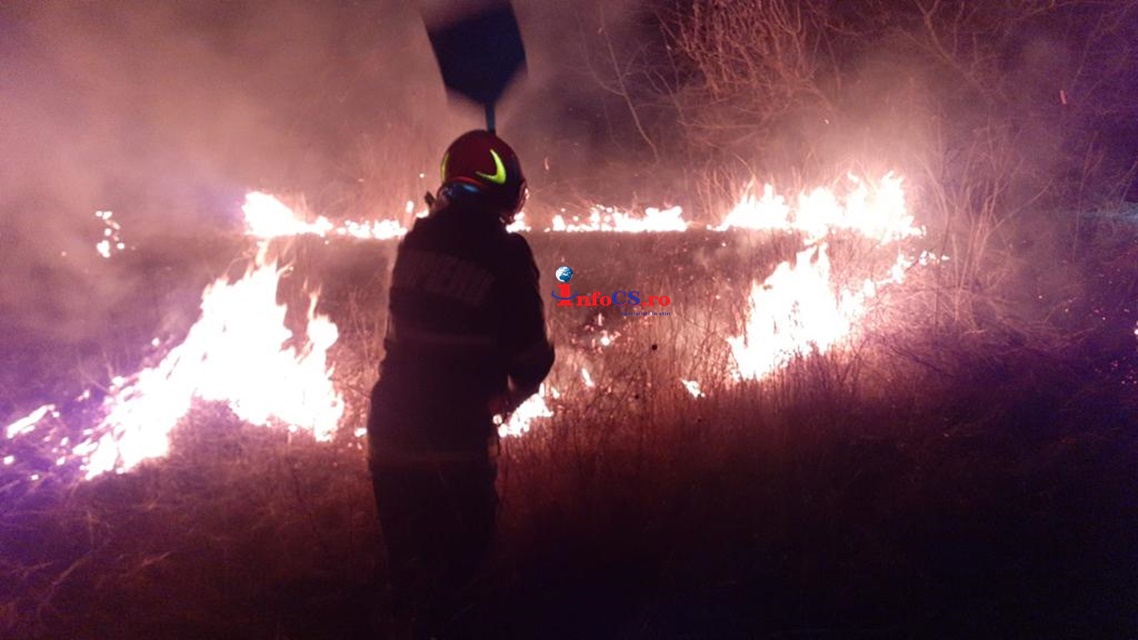 Flăcările au distrus 3 hectare de pădure și 9 hectare de fâneață în Caraș Severin VIDEO