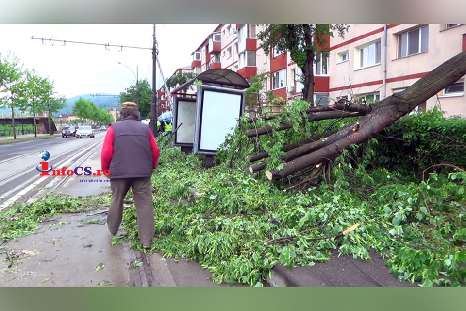 Furtună de noapte la Reșița – Copaci rupți și zone întregi fără curent electric VIDEO