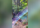 Impertinență sau neștiință? Turiștii au făcut baie în lacul Ochiul Bei din Parcul Natural Cheile Nerei- Beușnița VIDEO