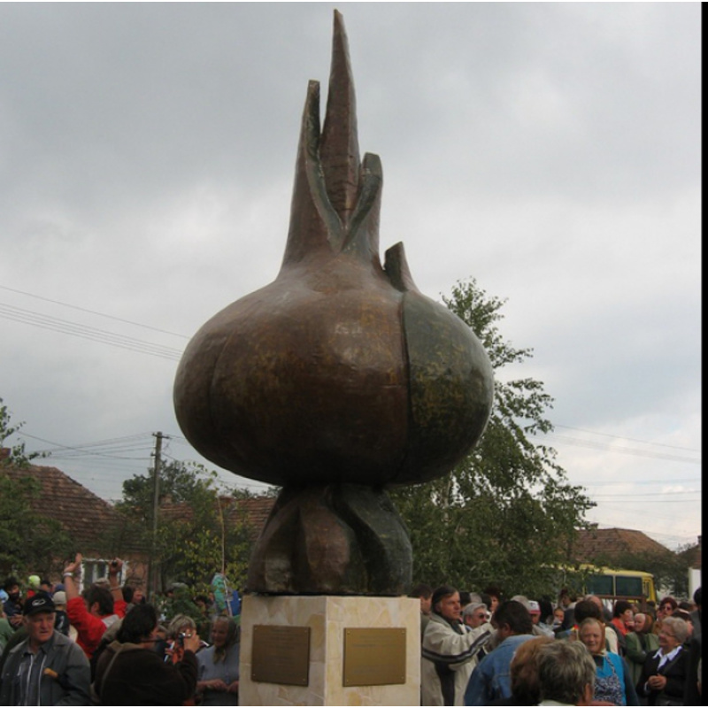 Cea mai faimoasă ceapă din România are peste 6,5 metri înălțime