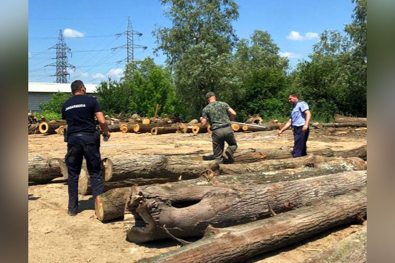 Peste 250 m cubi material lemnos în valoare de peste 100.000 de lei, confiscat