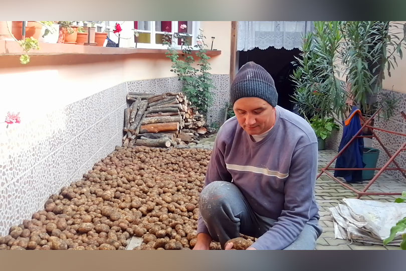 Seceta din acest an ridică prețul cartofilor în Banatul Montan – Oamenii sunt mulțumiți ca nu a fost mai rău – VIDEO