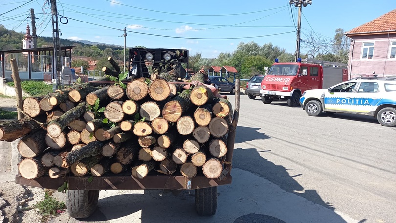 Legalitatea transportului de material lemnos, în continuare în atenția polițiștilor
