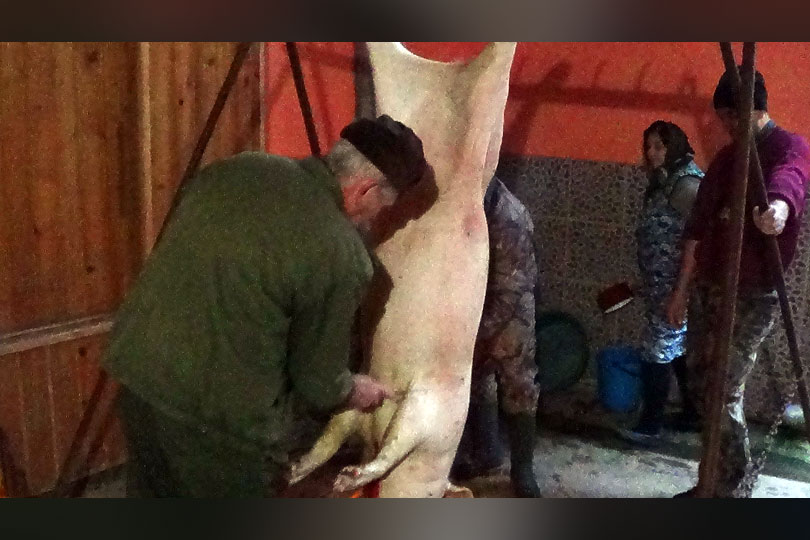 În Banatul Montan, sătenii au început să sacrifice porcii cu mult înainte de Ignat VIDEO