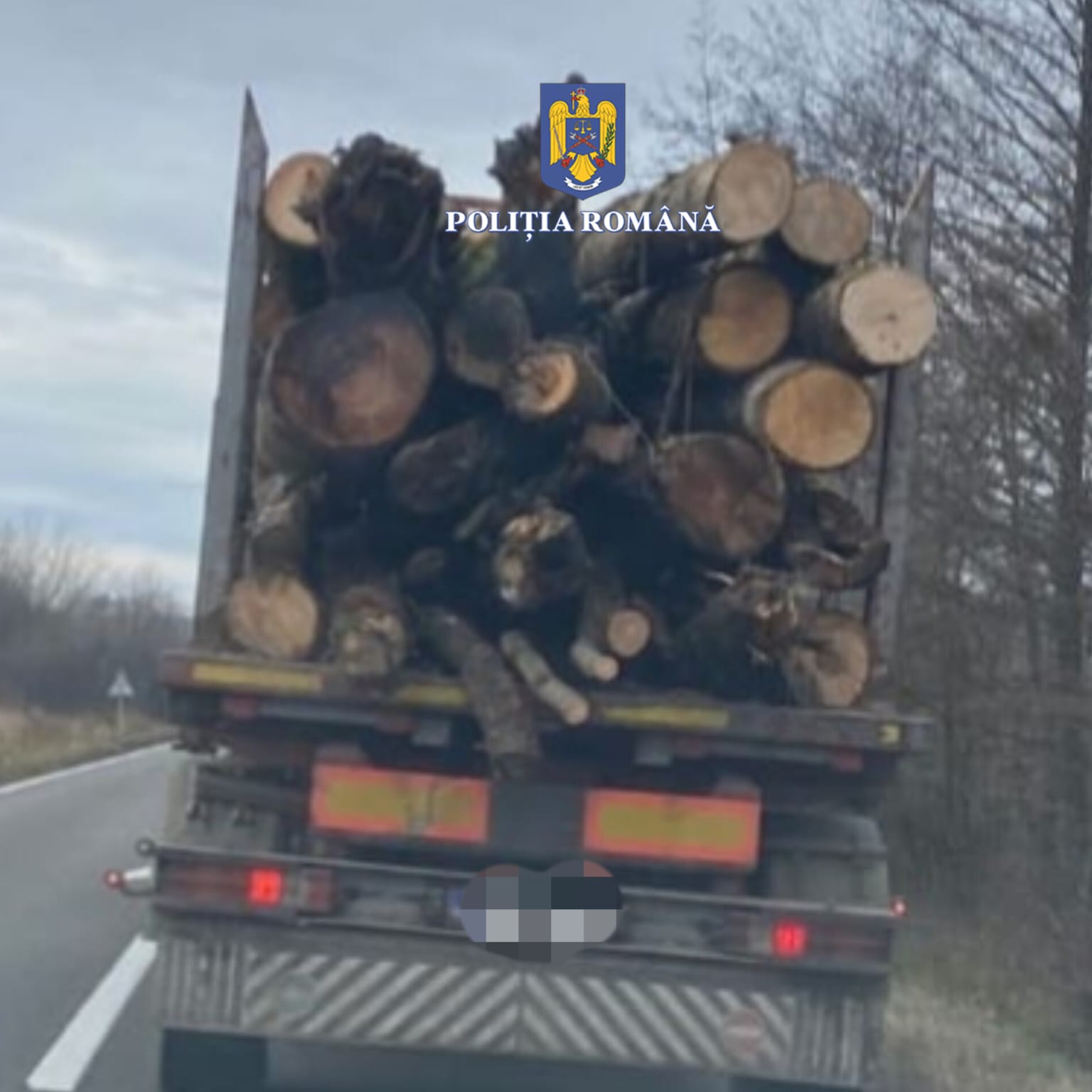 Prins în trafic la Soceni cu un transport ilegal de aproape 30 mc de lemn VIDEO