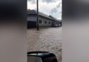 Potop în Valea Almăjului, după o ploaie torențială EXCLUSIV VIDEO
