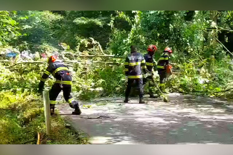 Trafic blocat de un copac căzut pe DJ 582 Reșița – Semenic – Gărâna – Slatina Timiș VIDEO