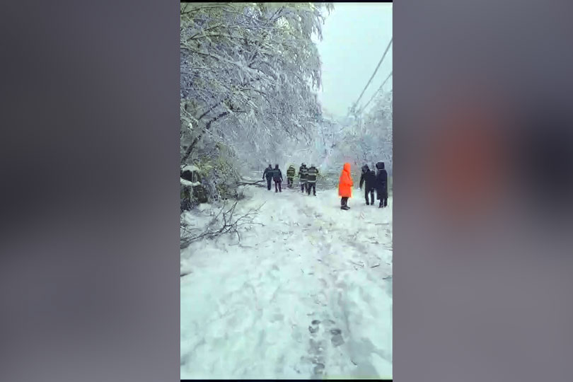 Drumul de acces spre Muntele Mic blocat de copacii rupți de zăpadă VIDEO