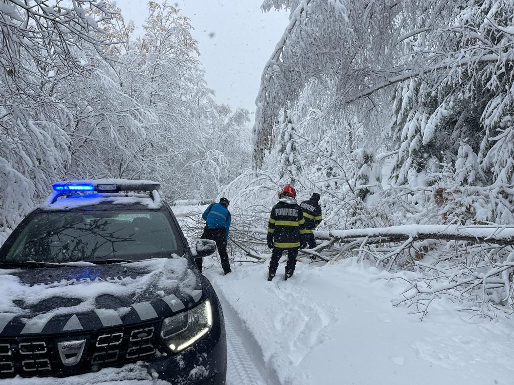 Drum înzăpezit și blocat din cauza zăpezii care a rupt copacii spre Muntele Mic VIDEO