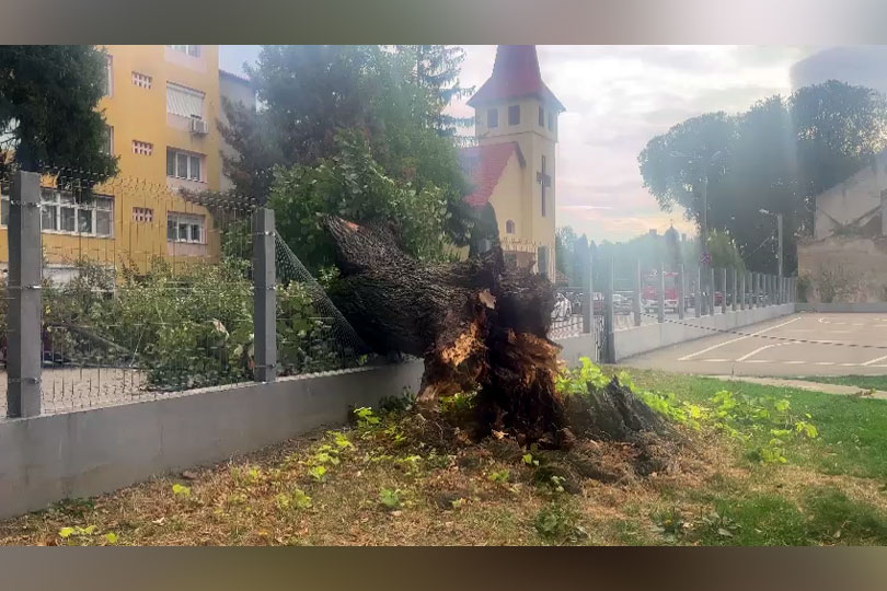 Acoperișuri smulse, copaci trântiți la pământ și autoturisme avariate la Caransebeș VIDEO