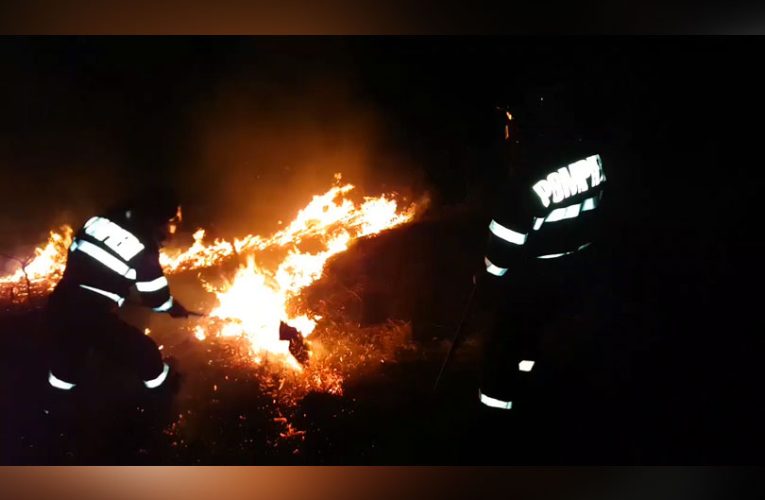 Actualitate Incendiile provocate de vegetație au năpădit Banatul Montan VIDEO